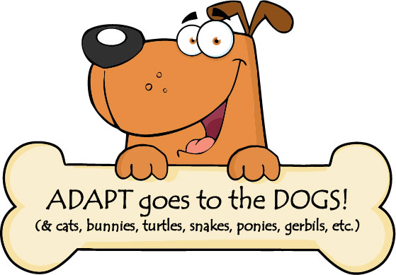 Adapt Goes To The Dogs